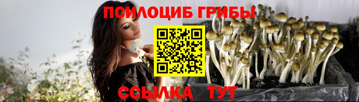Галлюциногенные грибы Psilocybine cubensis  как найти закладки  Кинель  Вход с VPN 