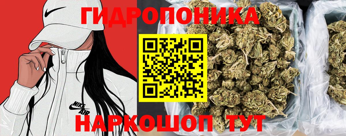 Канабис сатива  Канабис сатива  Каннабис индика  Кинель  Вход с VPN 